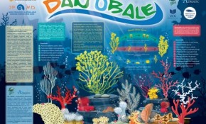 Obilježavanje Mediteranskog dana obale 2020 – poster o koralnim zajednicama