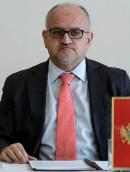 Srđan Darmanović