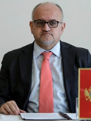 dr Srđan Darmanović, redovni profesor